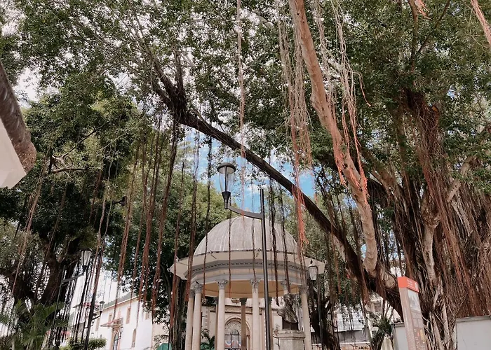 Maison Boheme - La Manzana Panama
